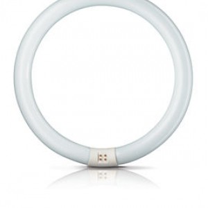 MASTER TL-E Circular Super 80